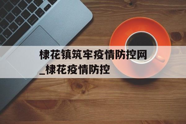 棣花镇筑牢疫情防控网_棣花疫情防控